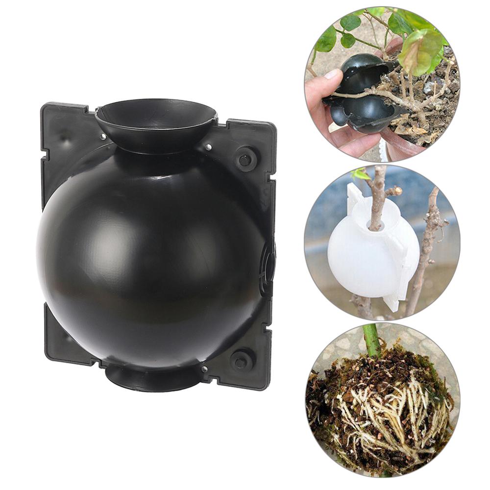 Plant Parent - Plant High-Pressure Breeding Ball Large Medium