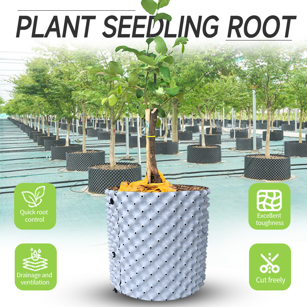 Plant Parent - Thickened Enlarged Dual Color Root Control