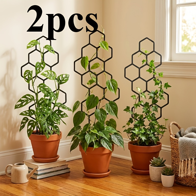 Two Climbing Plant Training De - Plant Parent 리뷰 및 가격