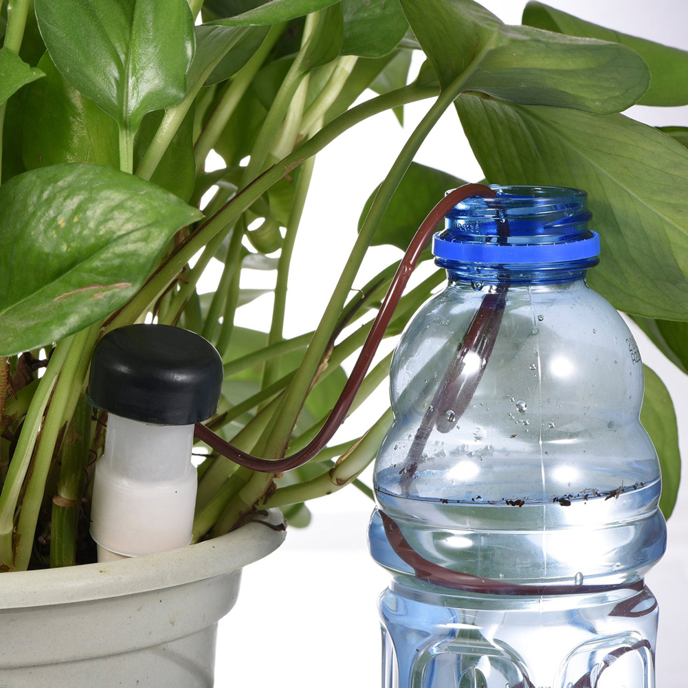 8-24Pcs Self-Watering Probes A - Plant Parent 리뷰 및 가격