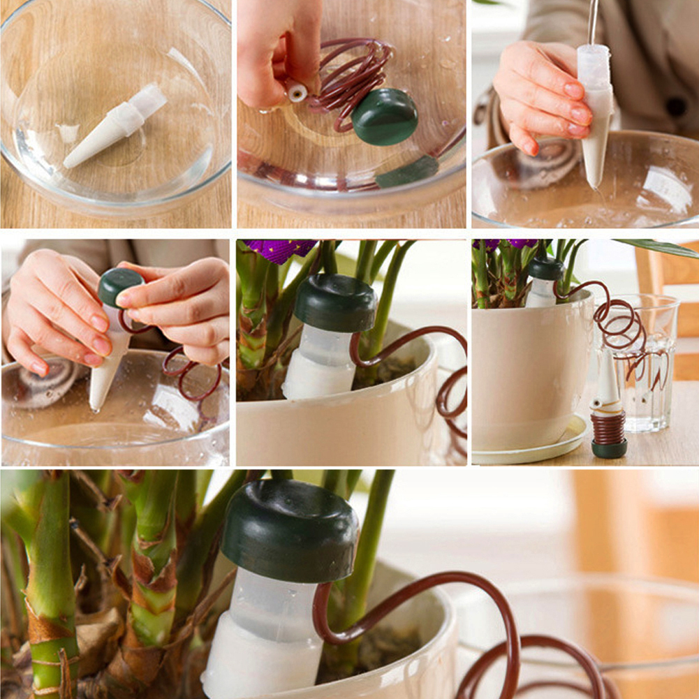 8-24Pcs Self-Watering Probes A - Plant Parent 리뷰 및 가격