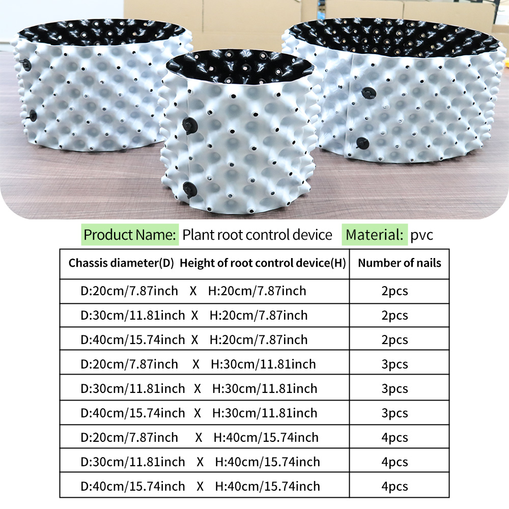 Thickened Enlarged Dual Color  - Plant Parent 리뷰 및 가격